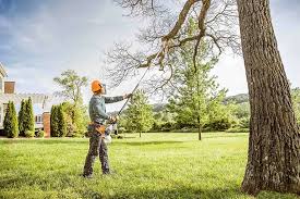 Best Storm Damage Tree Cleanup  in Oak Grove, VA